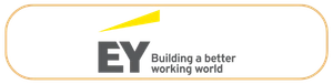 EY (Ernst & Young) logo